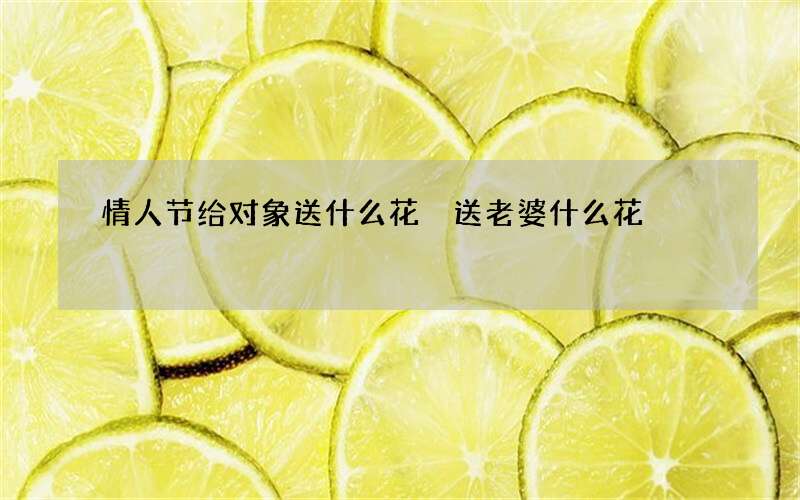 情人节给对象送什么花 送老婆什么花